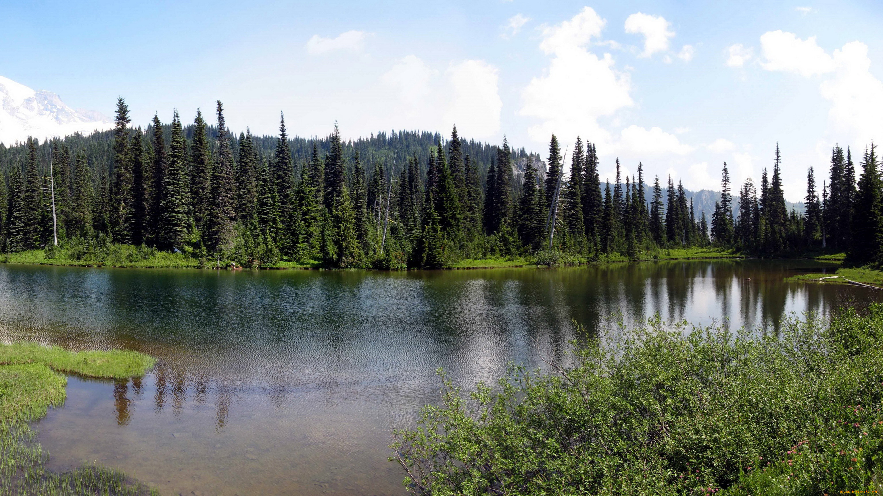 mount, rainier, national, park, usa, washington, , , , , , 
